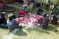 �|�g���E�o�r