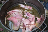 �|�g���E�o�r