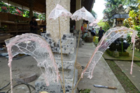 �|�g���E�o�r