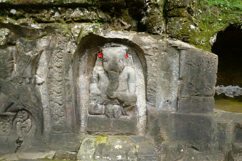 �C�G�E�v��