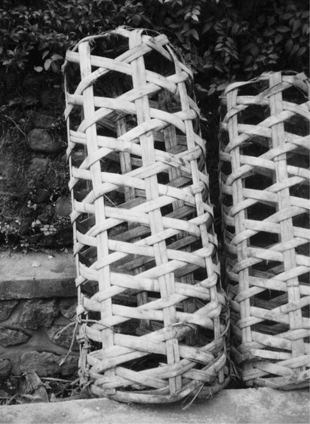 �N�����W����