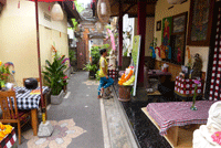 �{�i�Z�[��