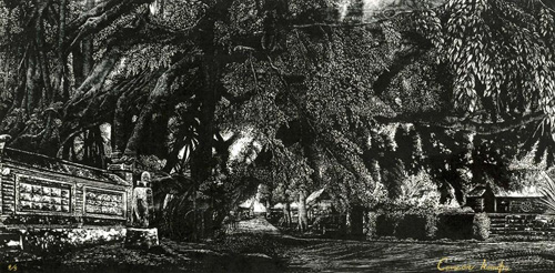 �����Ö�