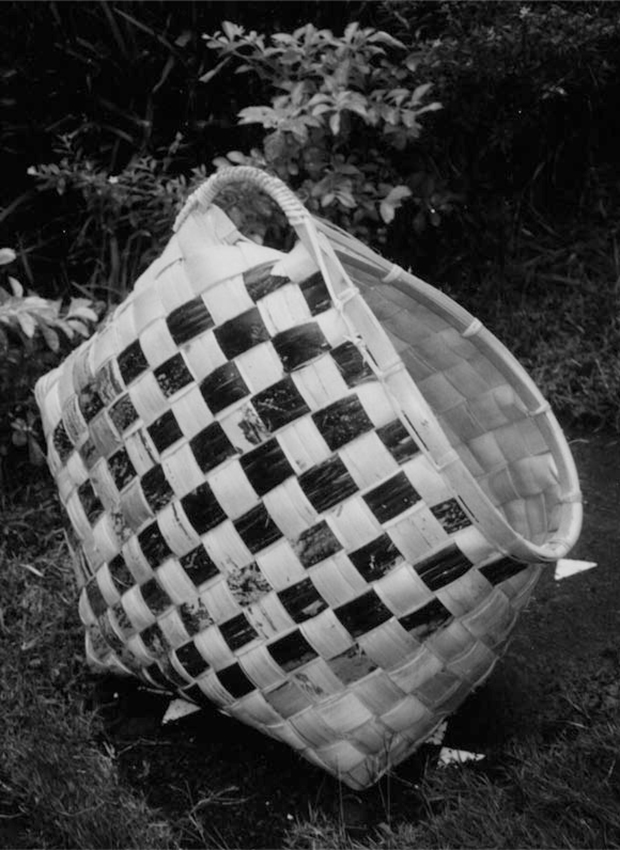 �N�����W����