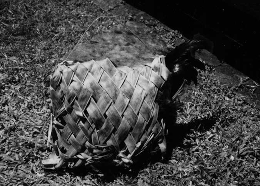 �N�����W����