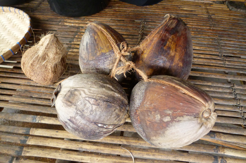 �R�R�i�b�c�E�I�C��