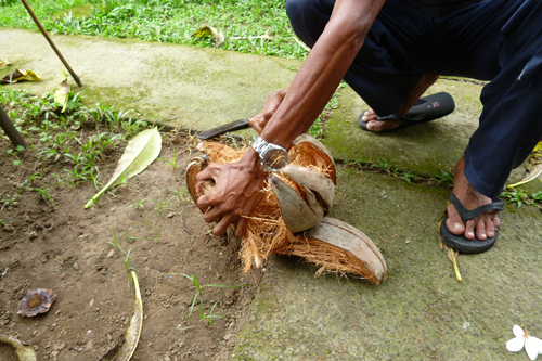 �R�R�i�b�c�E�I�C��