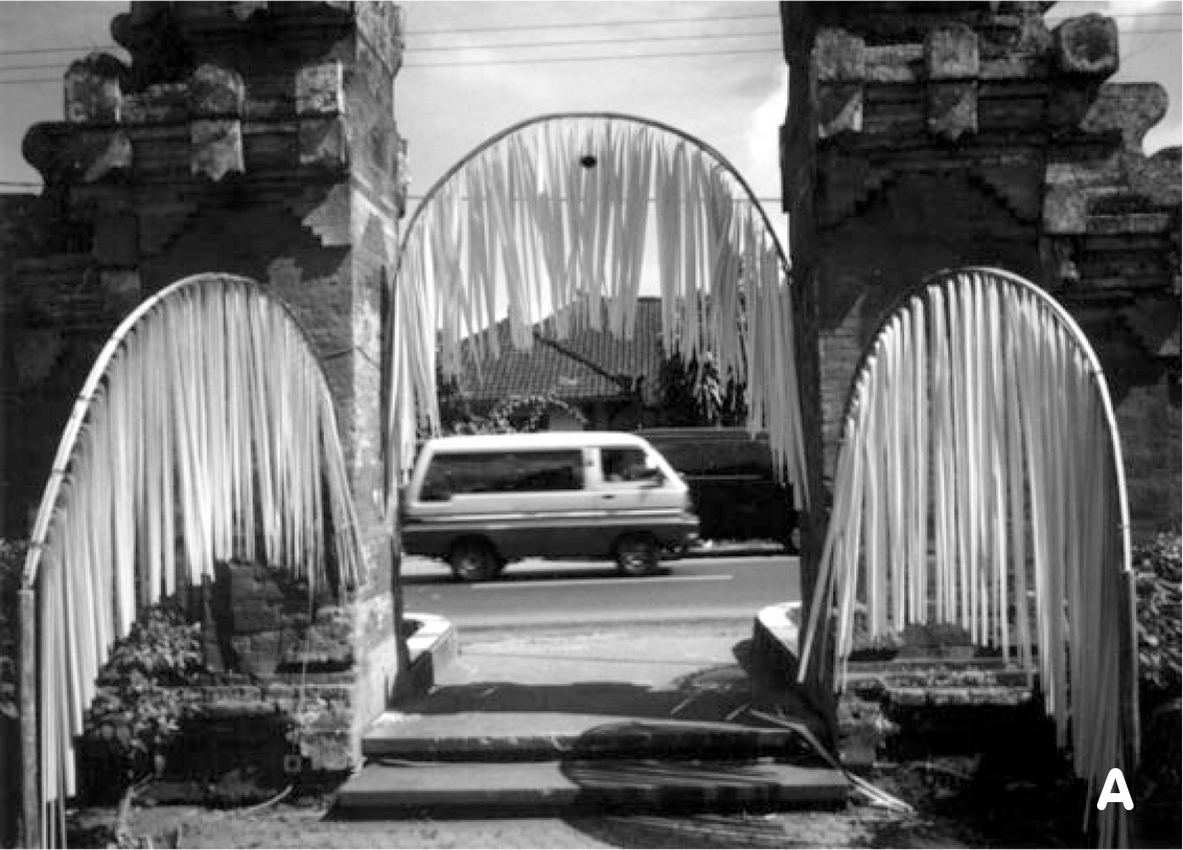 �v�����N�K��