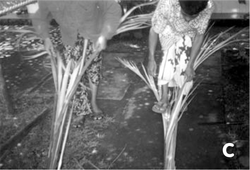 �v�����N�K��