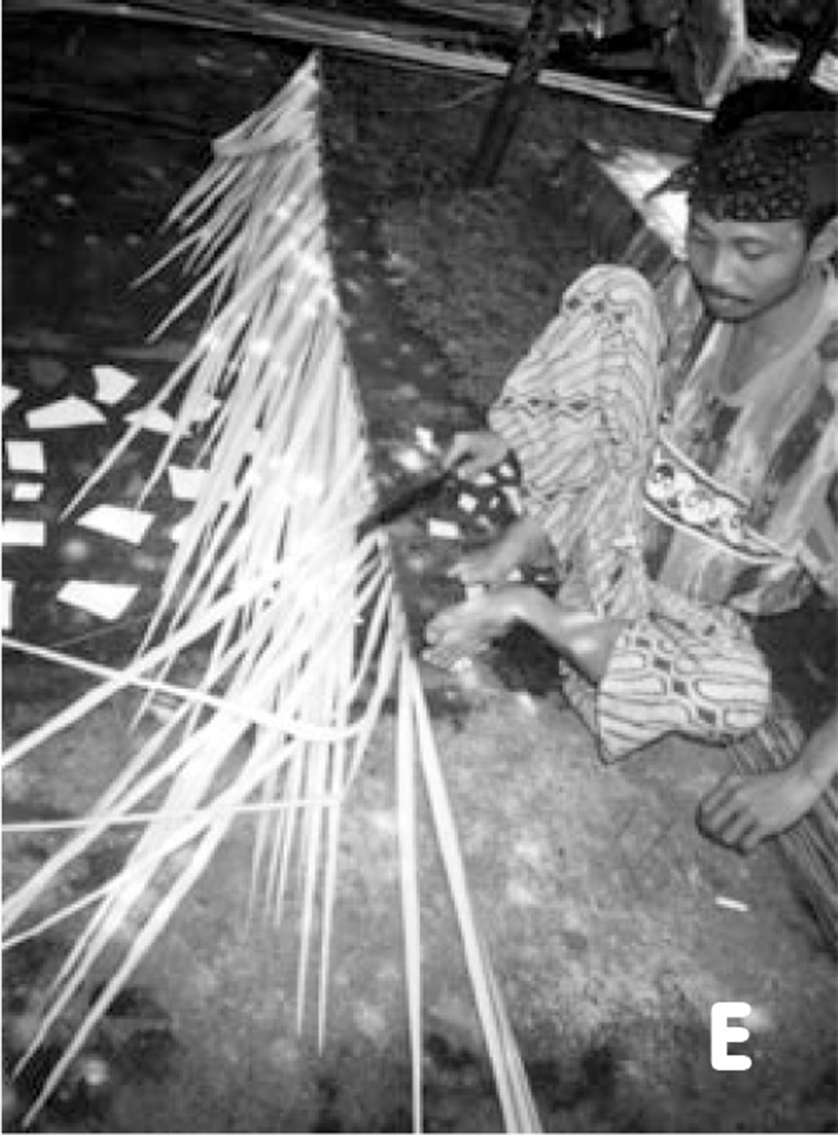 �v�����N�K��