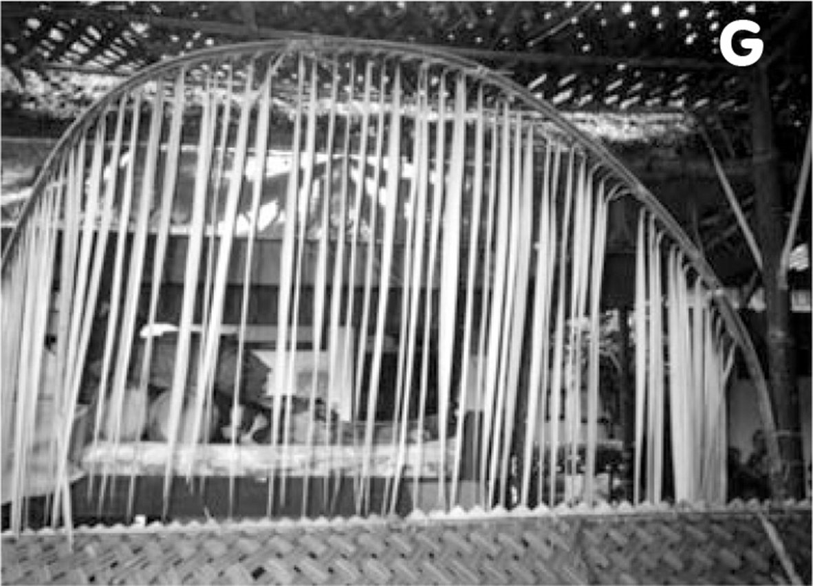 �v�����N�K��