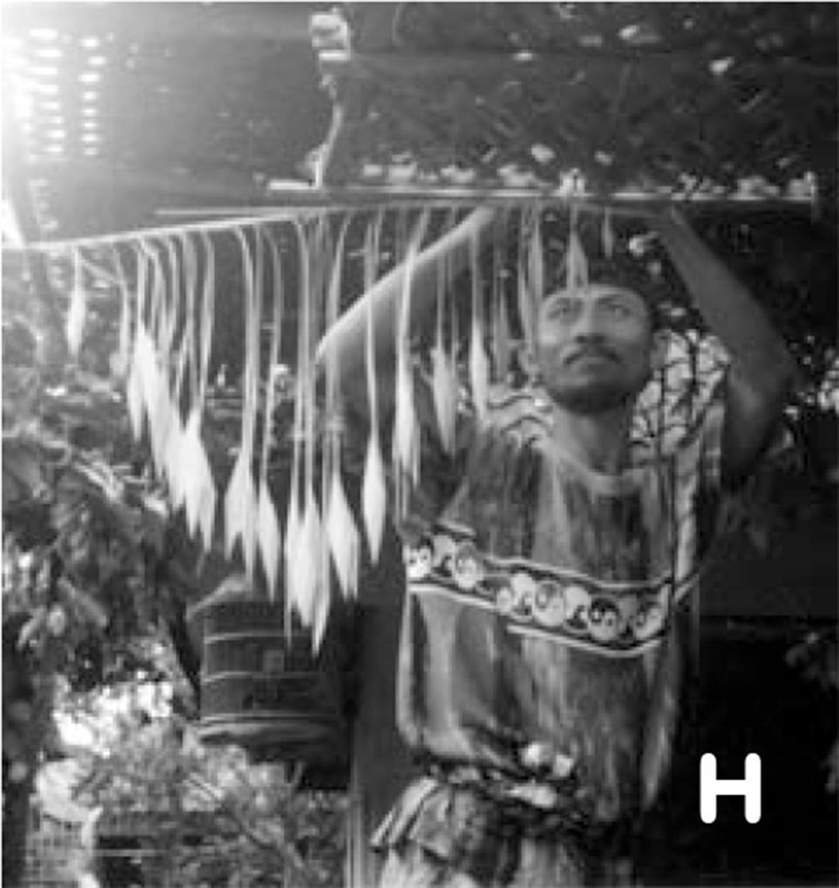 �v�����N�K��