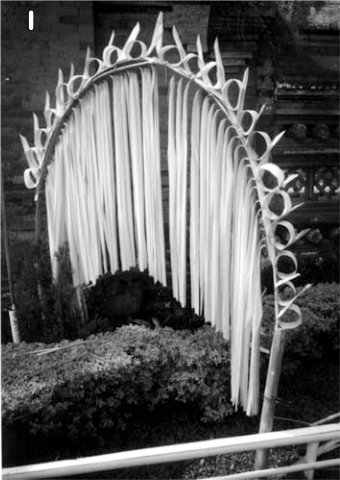 �v�����N�K��