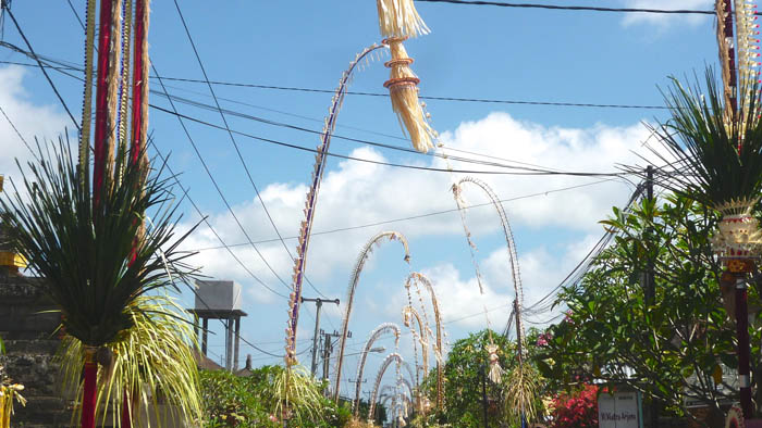 �y���W���[��