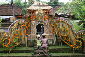 �����V��