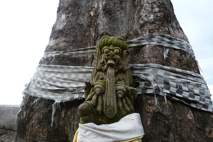 �����_�Α�